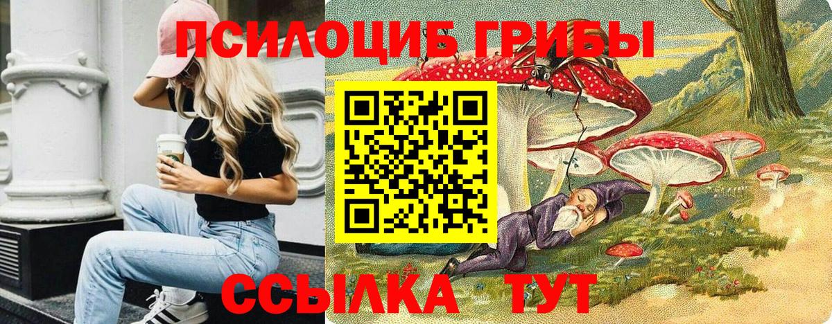 Псилоцибиновые грибы Cubensis  Галлюциногенные грибы Cubensis  купить наркотик  Глазов  Вход с VPN 